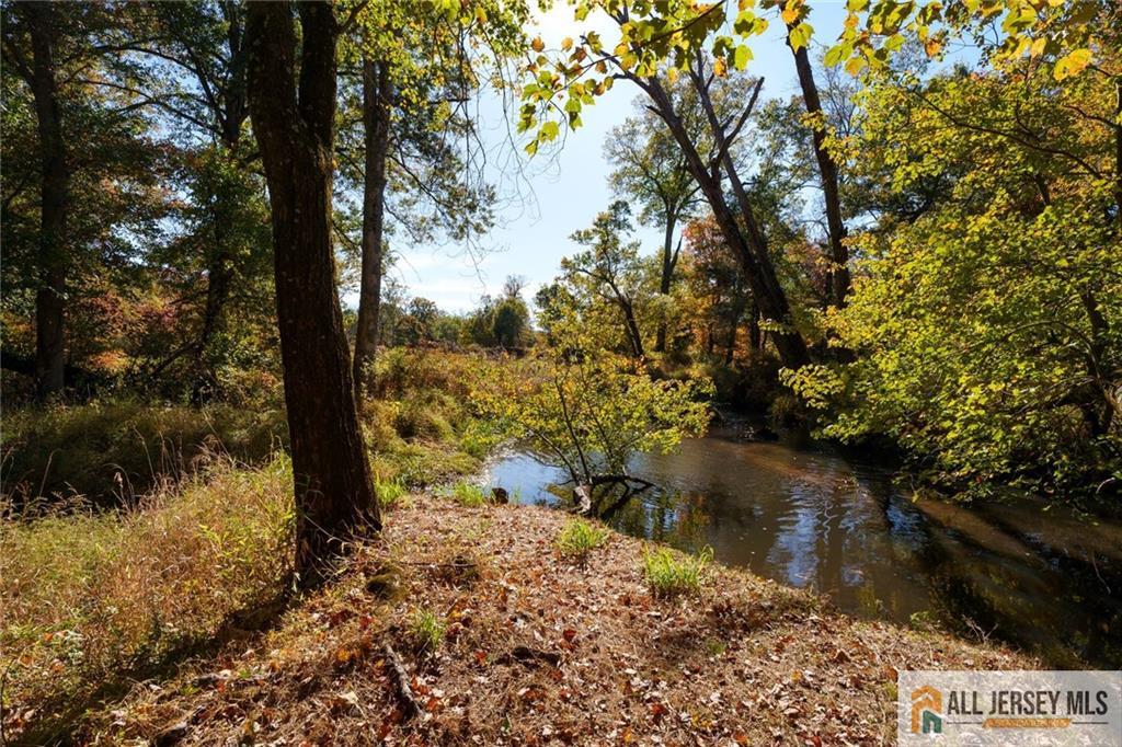 213 Cranbury Neck Road Plainsboro, NJ 08512 - Photo 43 of 52 a view of a yard with a tree