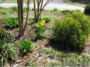 107 Eastview Road Brevard, NC 28712 - Photo 11 of 12 Gallery Image 11