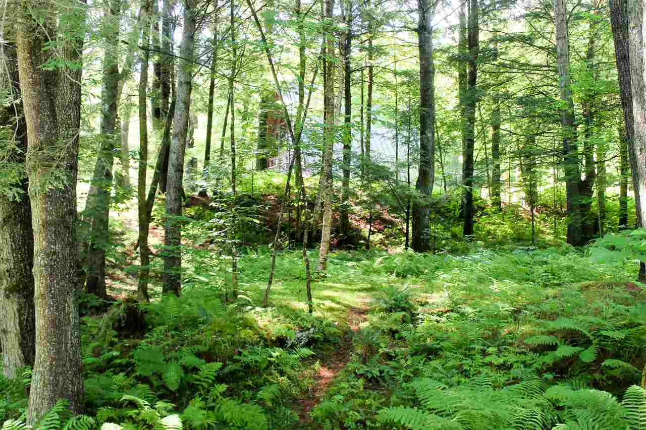 25 Monarch Hill Road Tunbridge, VT 05077 - Photo 21 of 24