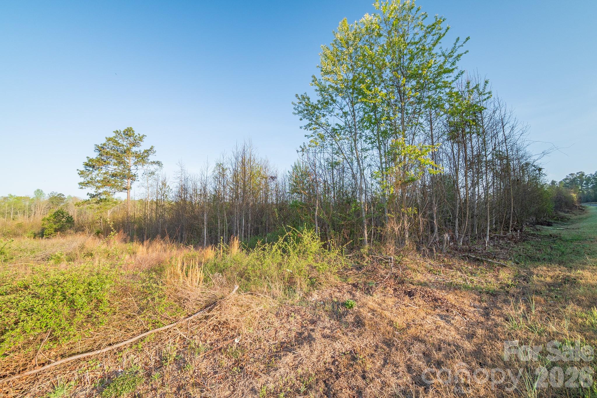 0 Sunrise Road Kershaw, SC 29067 - Photo 27 of 31 Gallery Image 27