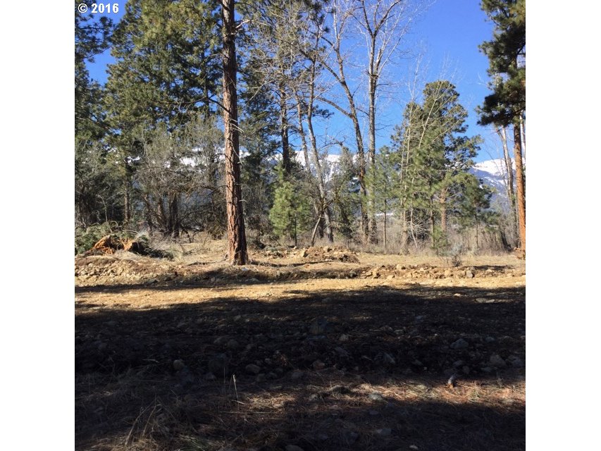 0 Pine View Road, Unit LOT 2 Baker City, OR 97814 - Photo 1 of 4 Gallery Image 1