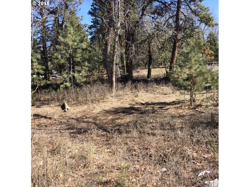 0 Pine View Road, Unit LOT 2 Baker City, OR 97814 - Photo 2 of 4 Gallery Image 2