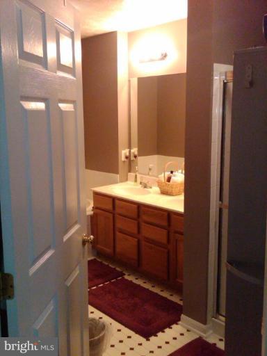 4157 Maple Path Circle, Unit 82 Nottingham, MD 21236 - Photo 25 of 27 Master Bath