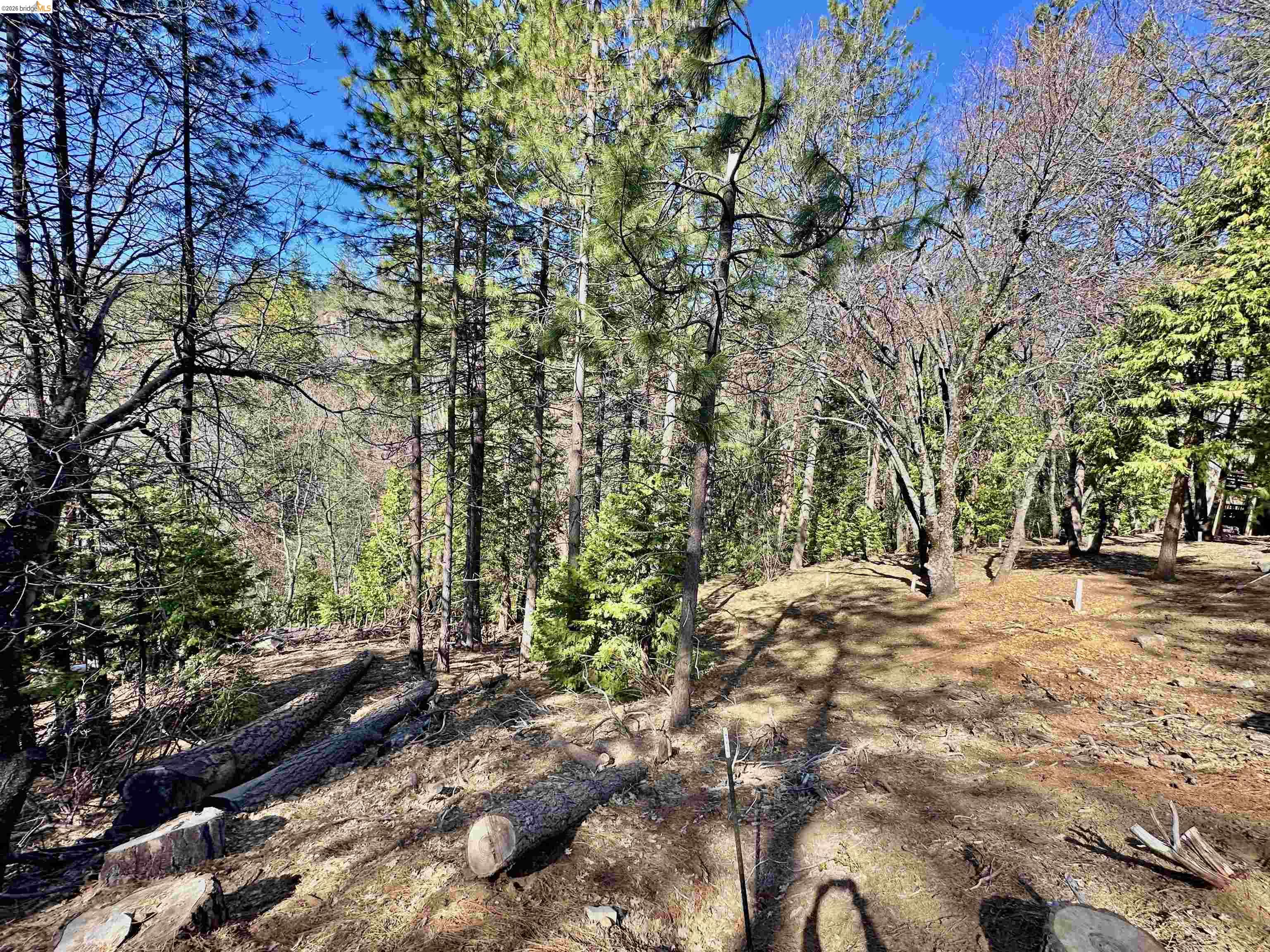 23956 Stable Road Sonora, CA 95370 - Photo 3 of 13 Gallery Image 3