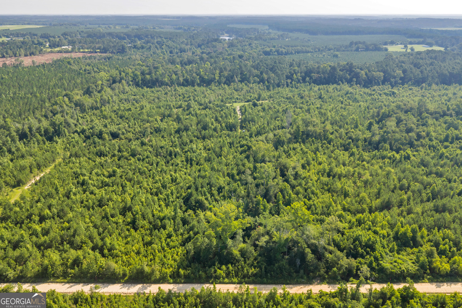 1 Rozar-Goolsby Road Eastman, GA 31023 - Photo 11 of 17 Gallery Image 11