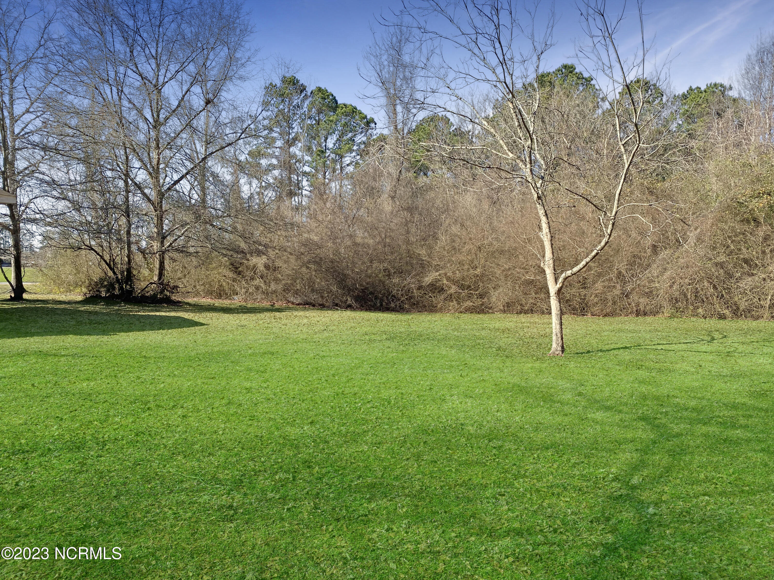 3836 Gallberry Road Washington, NC 27889 - Photo 5 of 41 Gallberry BB left yard