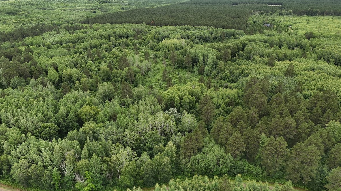 0 Dana Road Solon Springs, WI 54873 - Photo 11 of 14