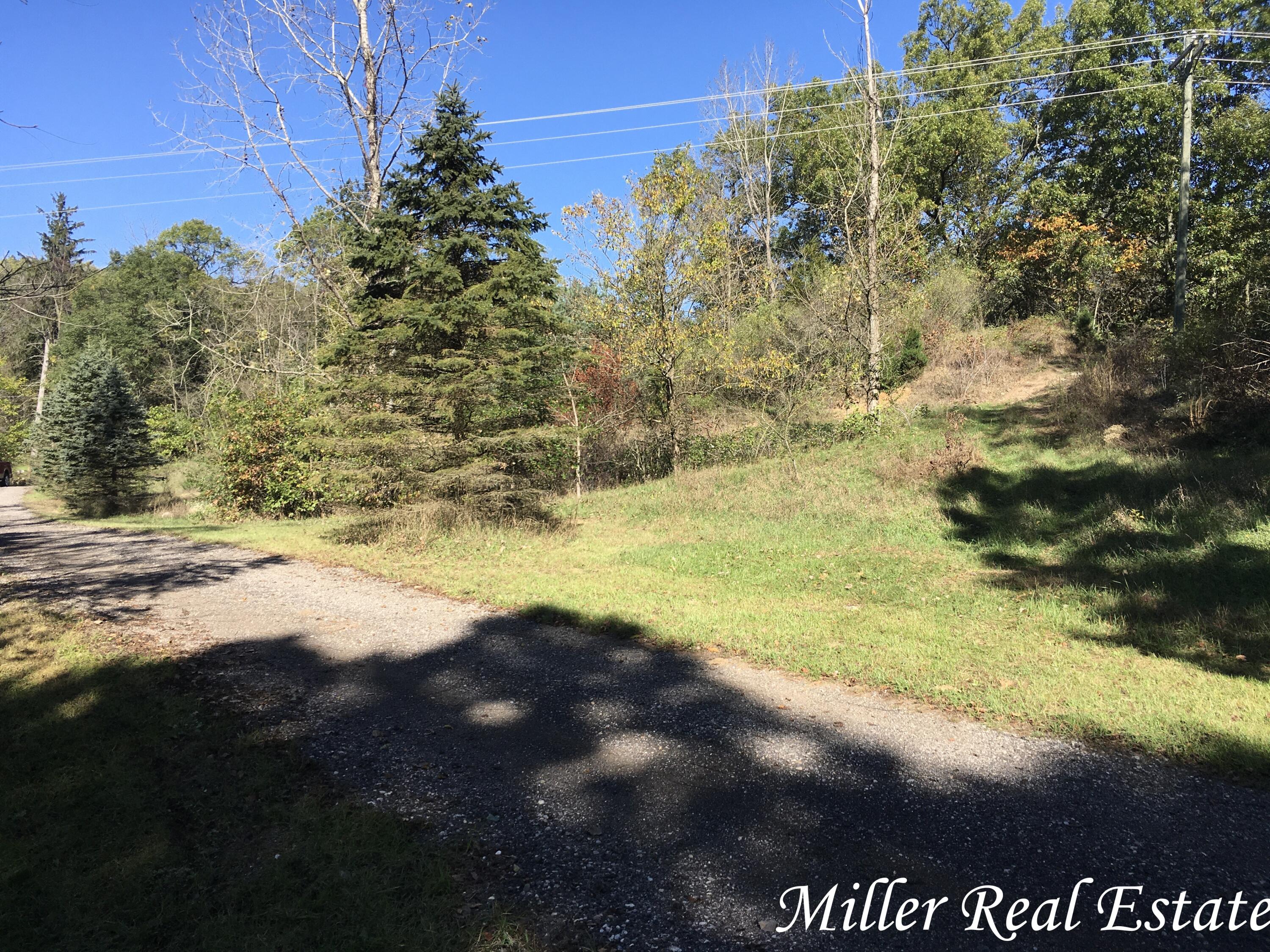 Par B Woodruff Road Hastings, MI 49058 - Photo 1 of 13 MILLER MEANS SOLD!1