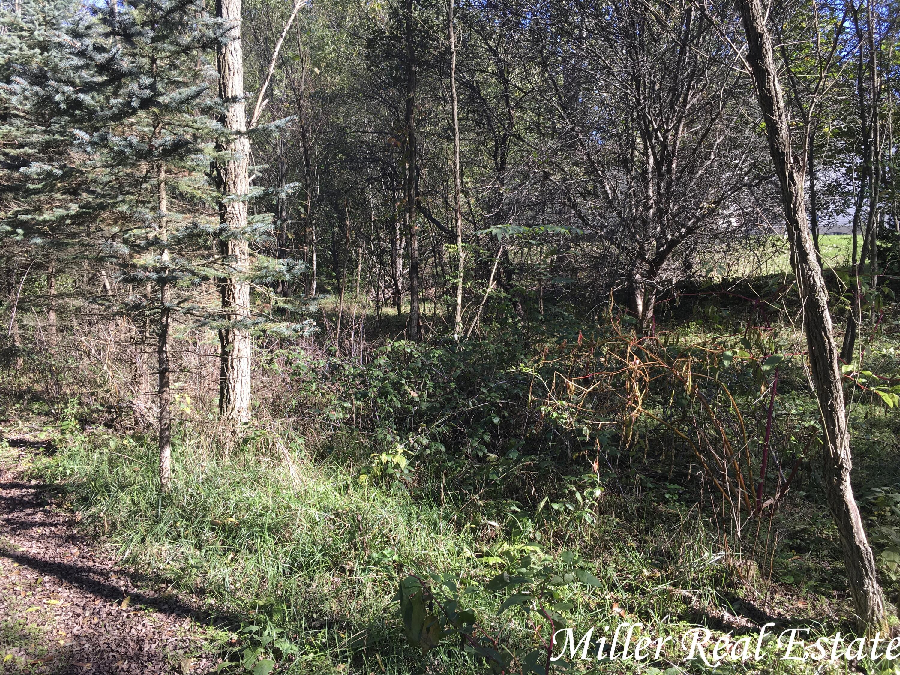 Par B Woodruff Road Hastings, MI 49058 - Photo 11 of 13 MILLER MEANS SOLD!11