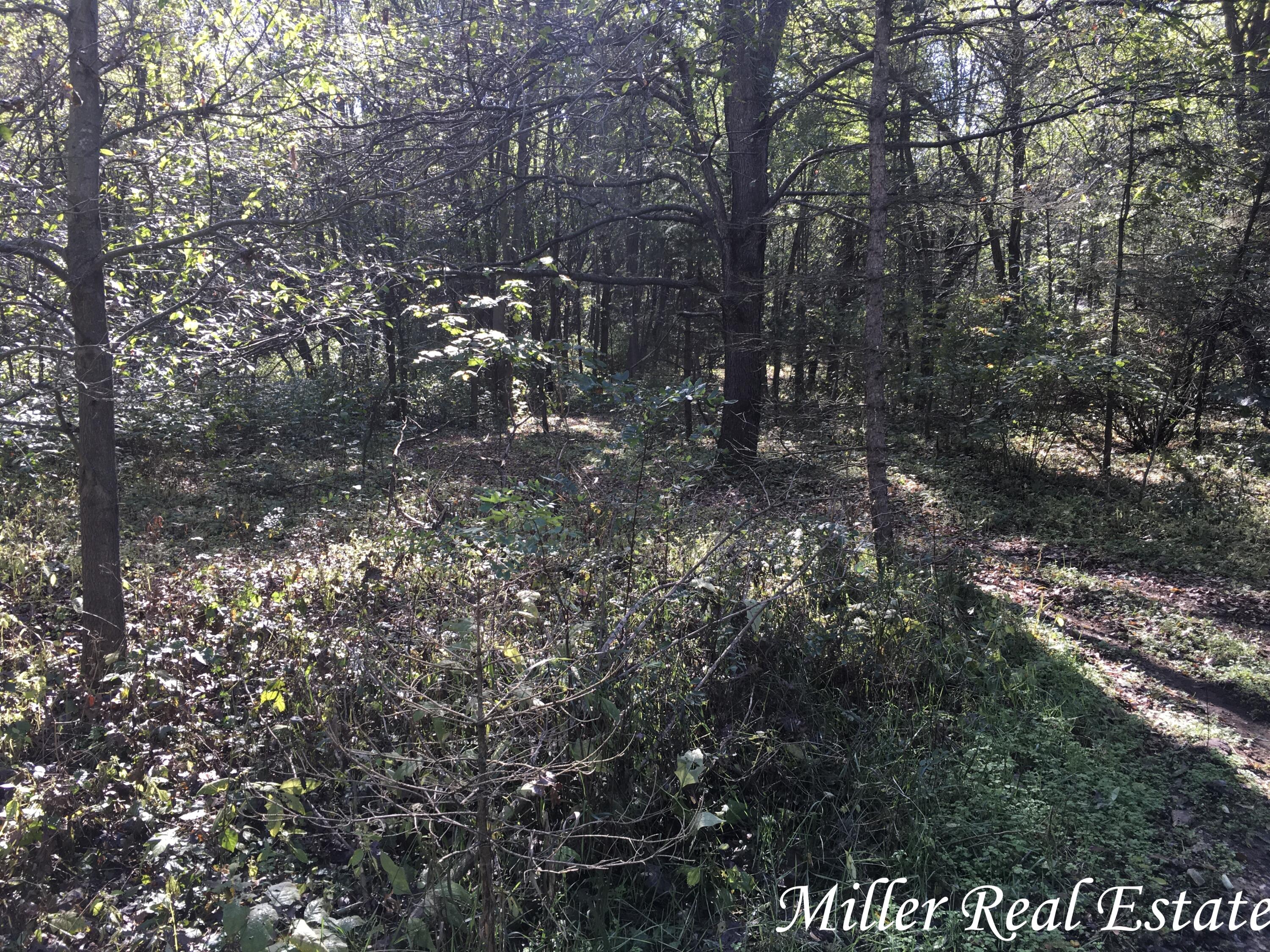 Par B Woodruff Road Hastings, MI 49058 - Photo 12 of 13 MILLER MEANS SOLD!12