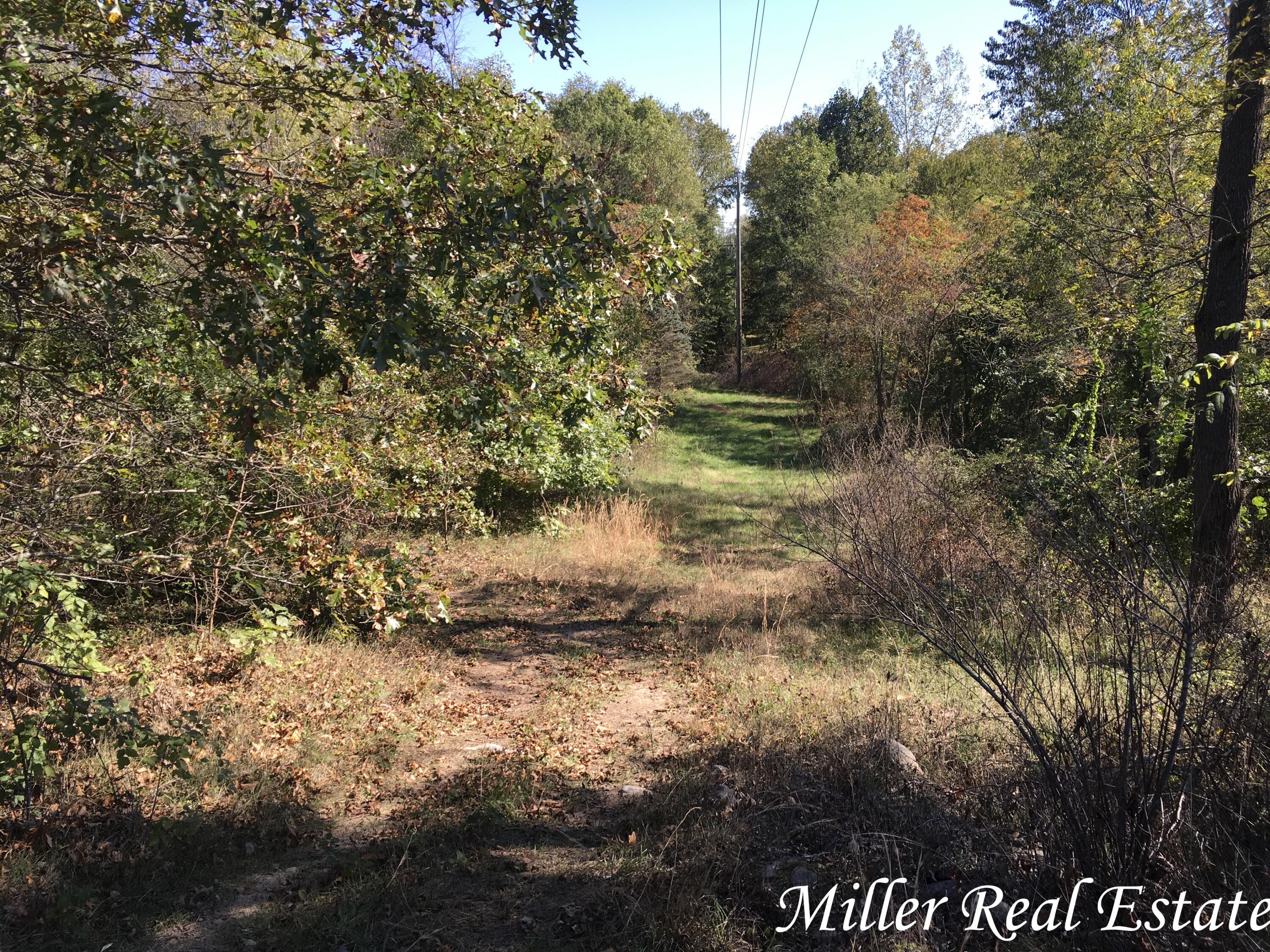 Par B Woodruff Road Hastings, MI 49058 - Photo 2 of 13 MILLER MEANS SOLD!2