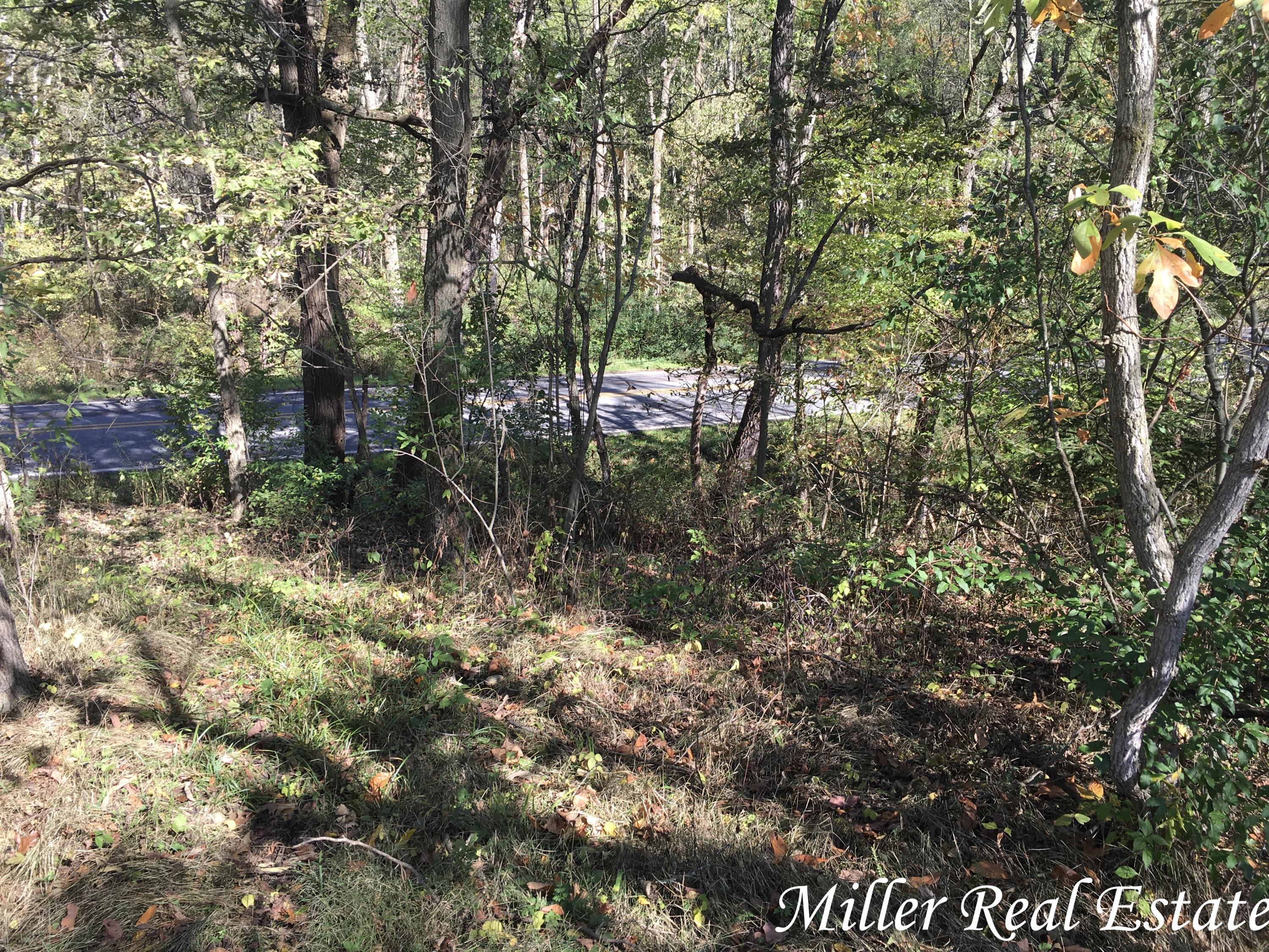Par B Woodruff Road Hastings, MI 49058 - Photo 6 of 13 MILLER MEANS SOLD!6