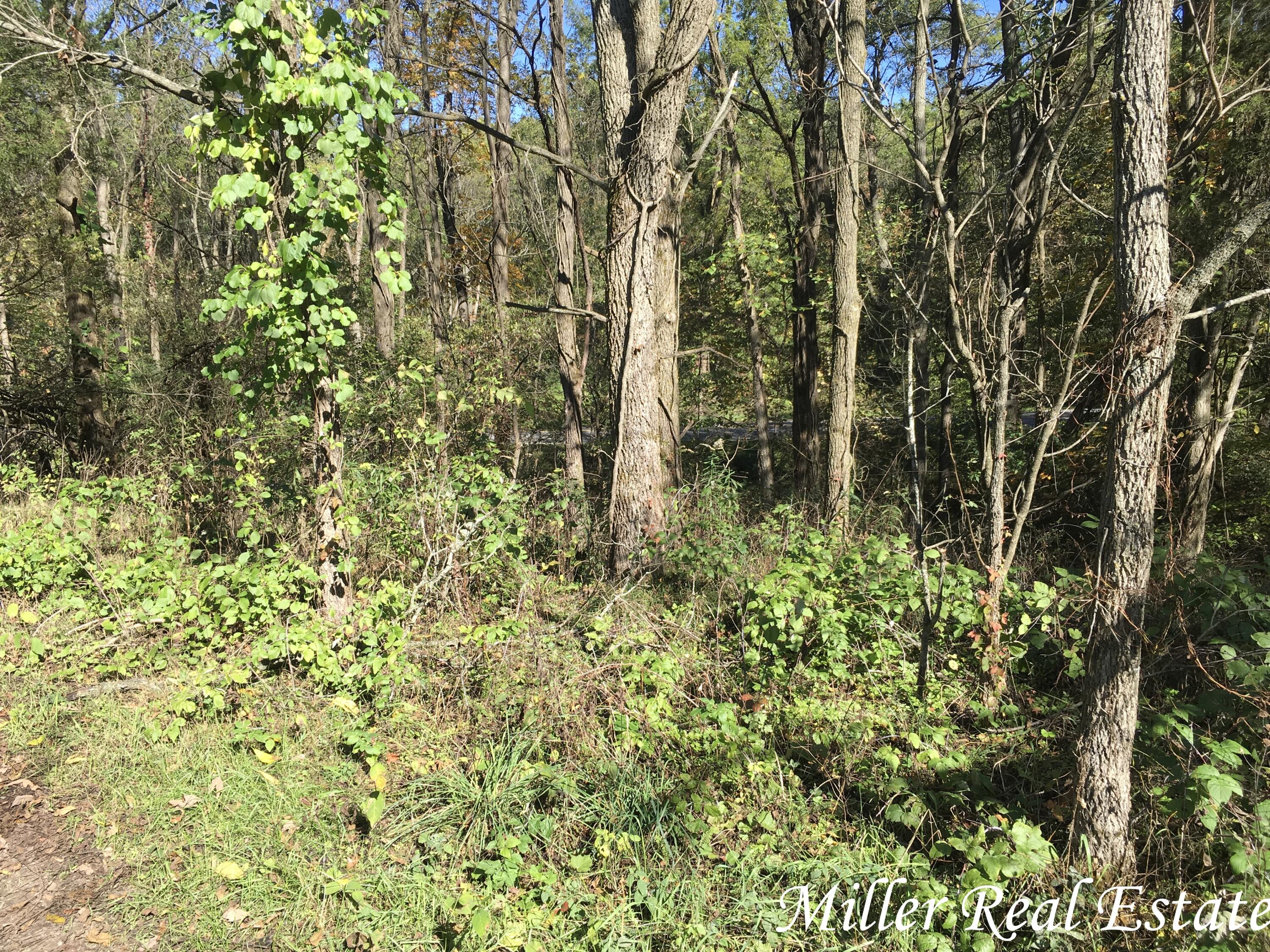 Par B Woodruff Road Hastings, MI 49058 - Photo 8 of 13 MILLER MEANS SOLD!8