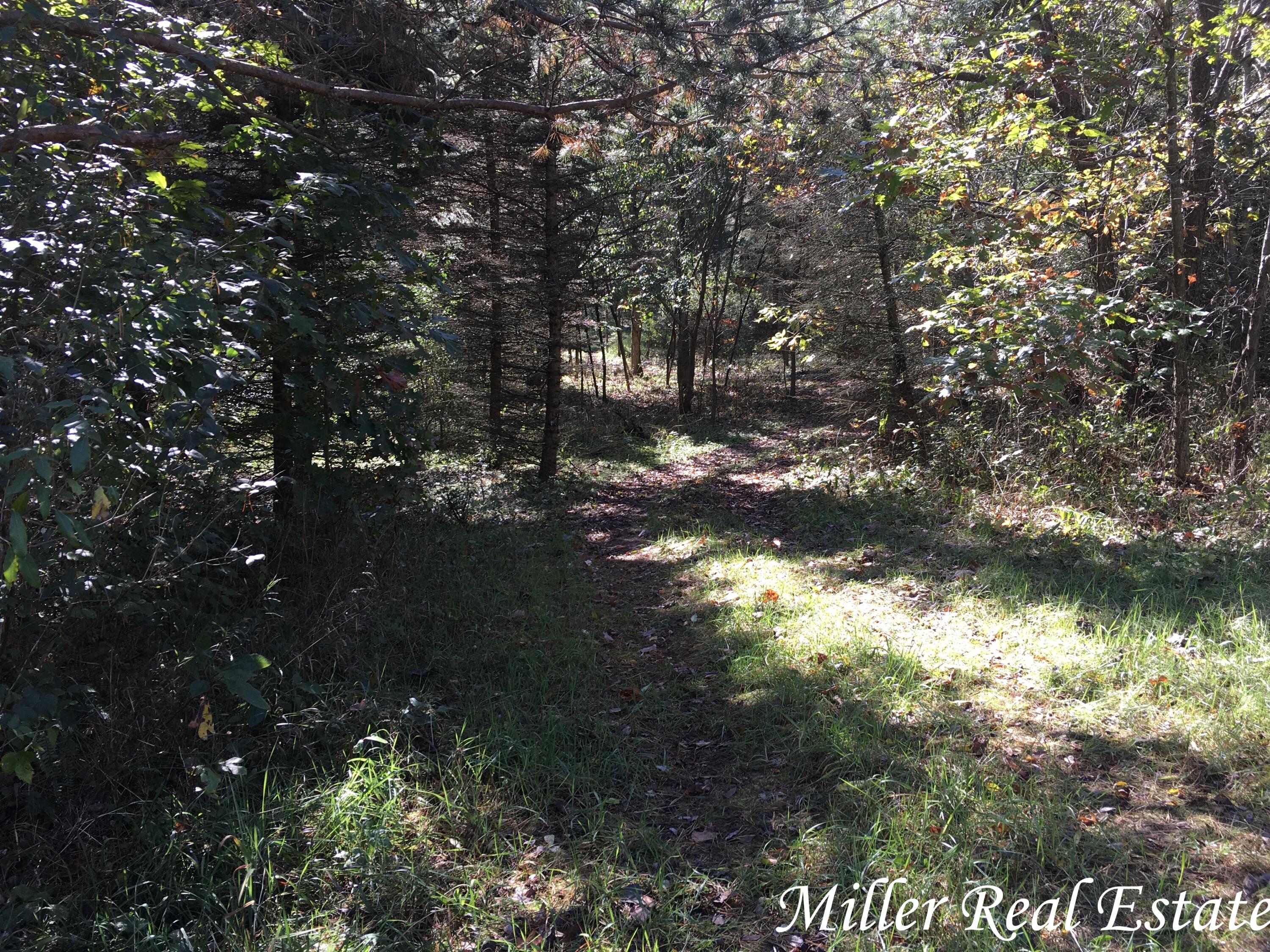 Par B Woodruff Road Hastings, MI 49058 - Photo 9 of 13 MILLER MEANS SOLD!9