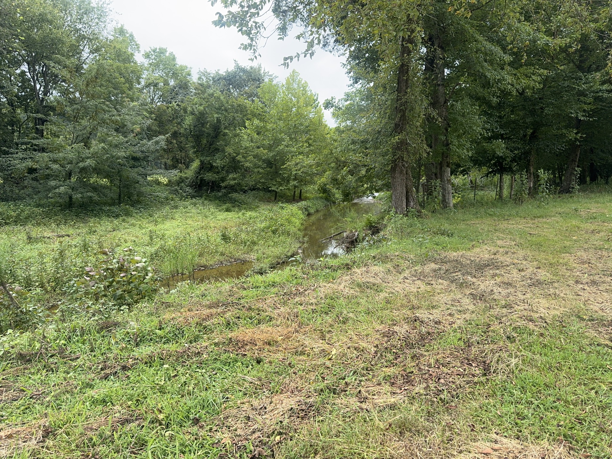 0 Upper Standing Rock Road Dover, TN 37058 - Photo 12 of 32 Gallery Image 12