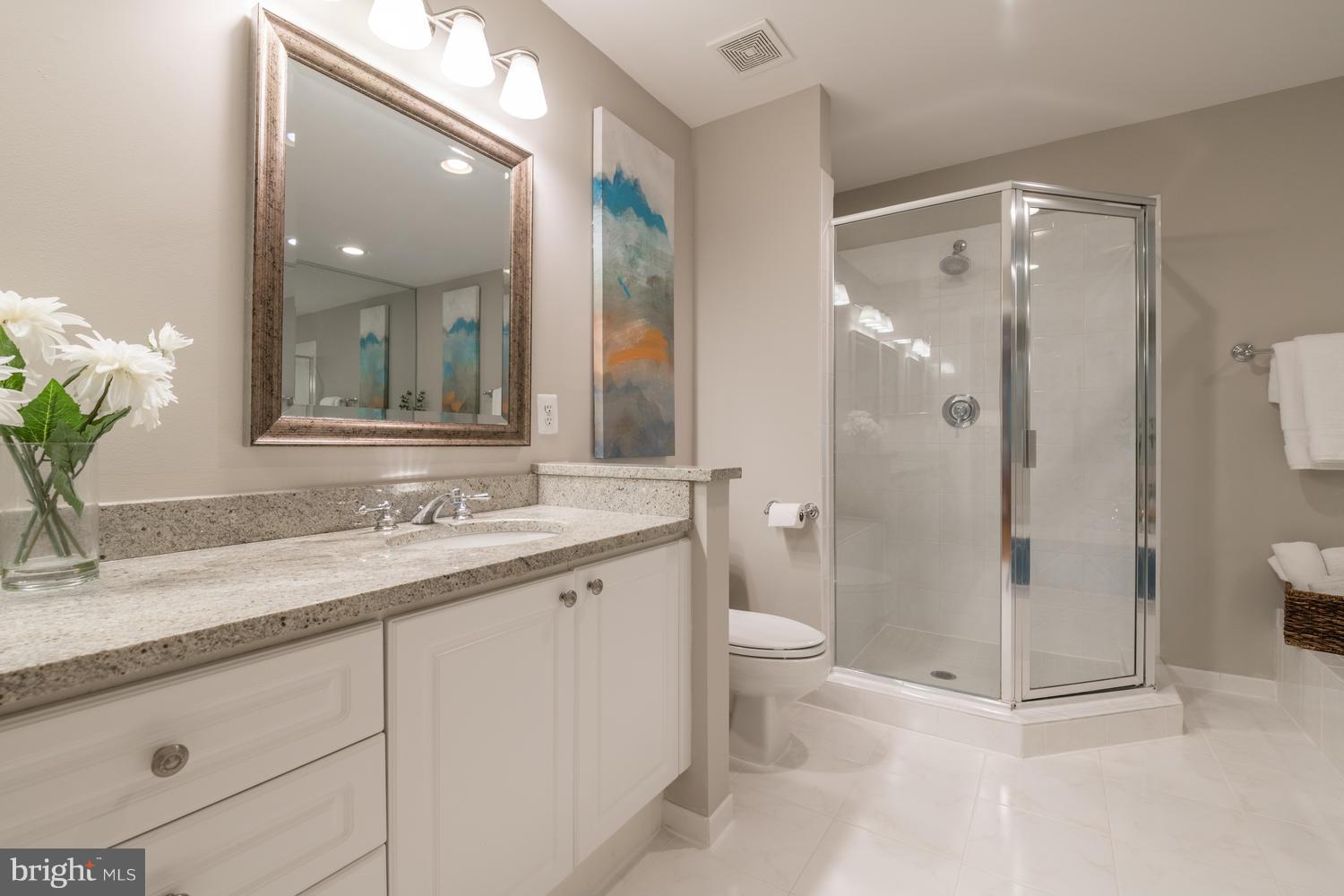 2121 21st Road North Arlington, VA 22201 - Photo 22 of 30 Bath (Master)