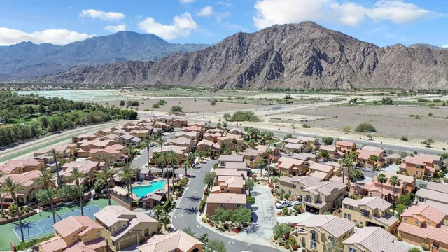a view of a city with flower plants