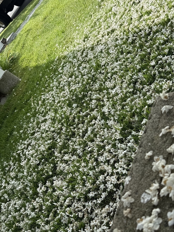 3 Skytop Road Ipswich, MA 01938 - Photo 35 of 37