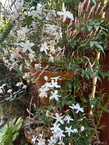 $275,000 | 23450 Newhall Avenue, Unit 40, Newhall, CA 91321