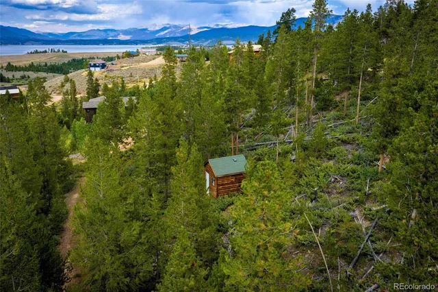 a view of a city with lush green forest