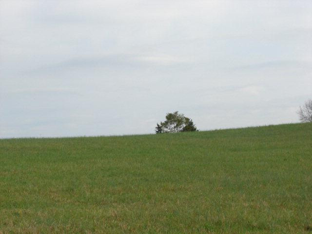 0 Ralph Park East Richmond, KY 40475 - Photo 9 of 37 Photo 9