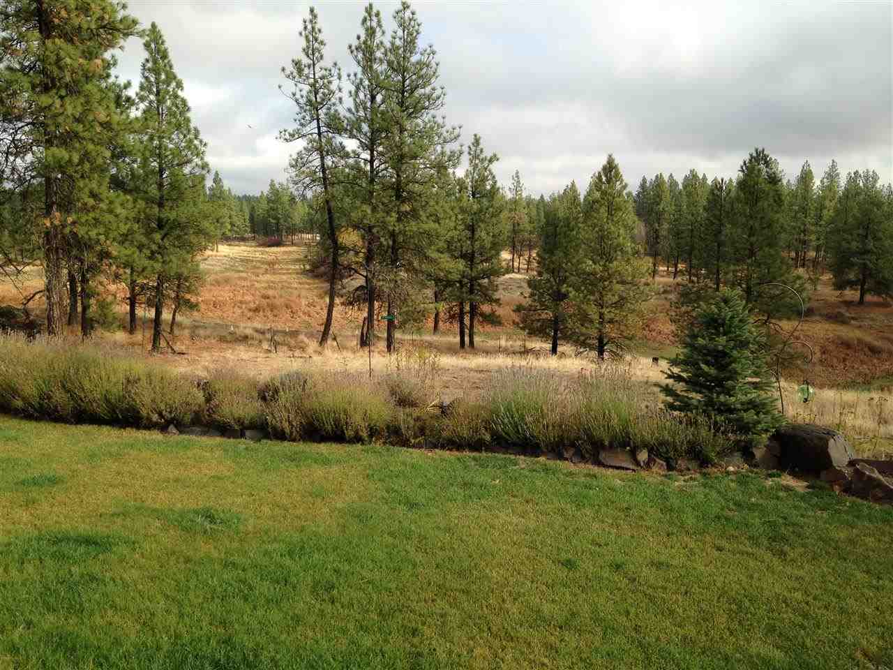 14521 South Ben Apple Road Edwall, WA 99008 - Photo 12 of 17
