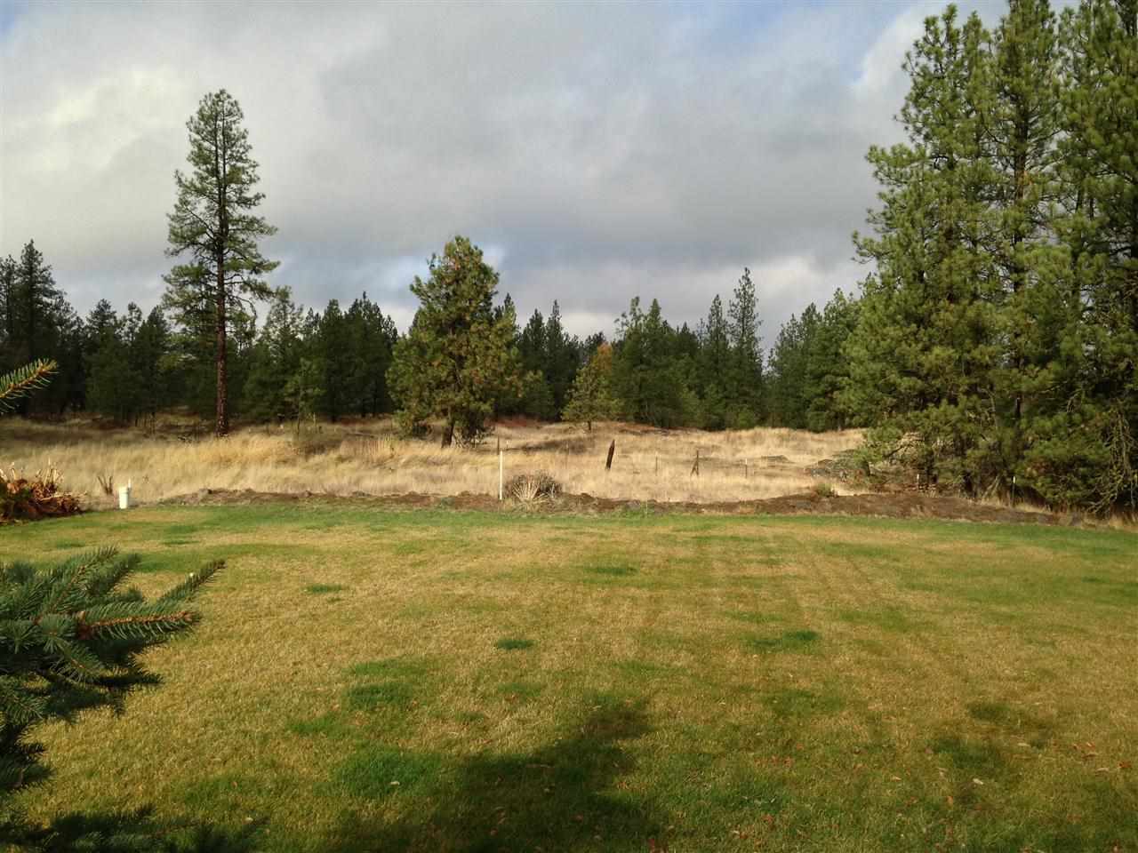 14521 South Ben Apple Road Edwall, WA 99008 - Photo 13 of 17