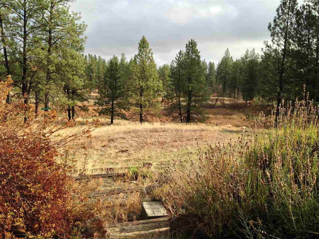 14521 South Ben Apple Road Edwall, WA 99008 - Photo 14 of 17