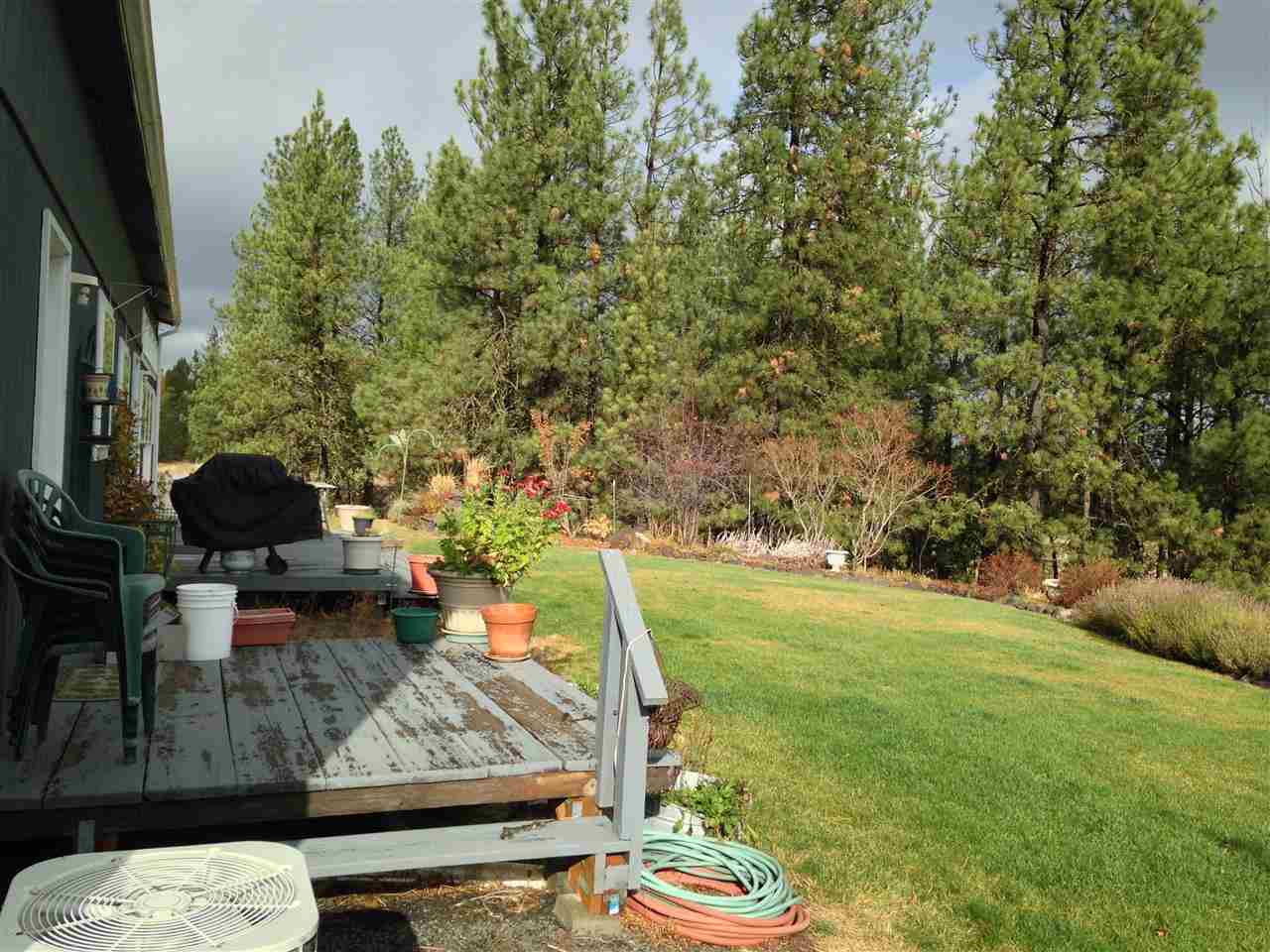14521 South Ben Apple Road Edwall, WA 99008 - Photo 7 of 17
