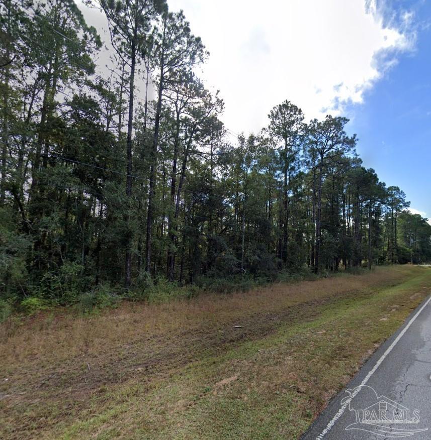 a view of a field with trees in the background