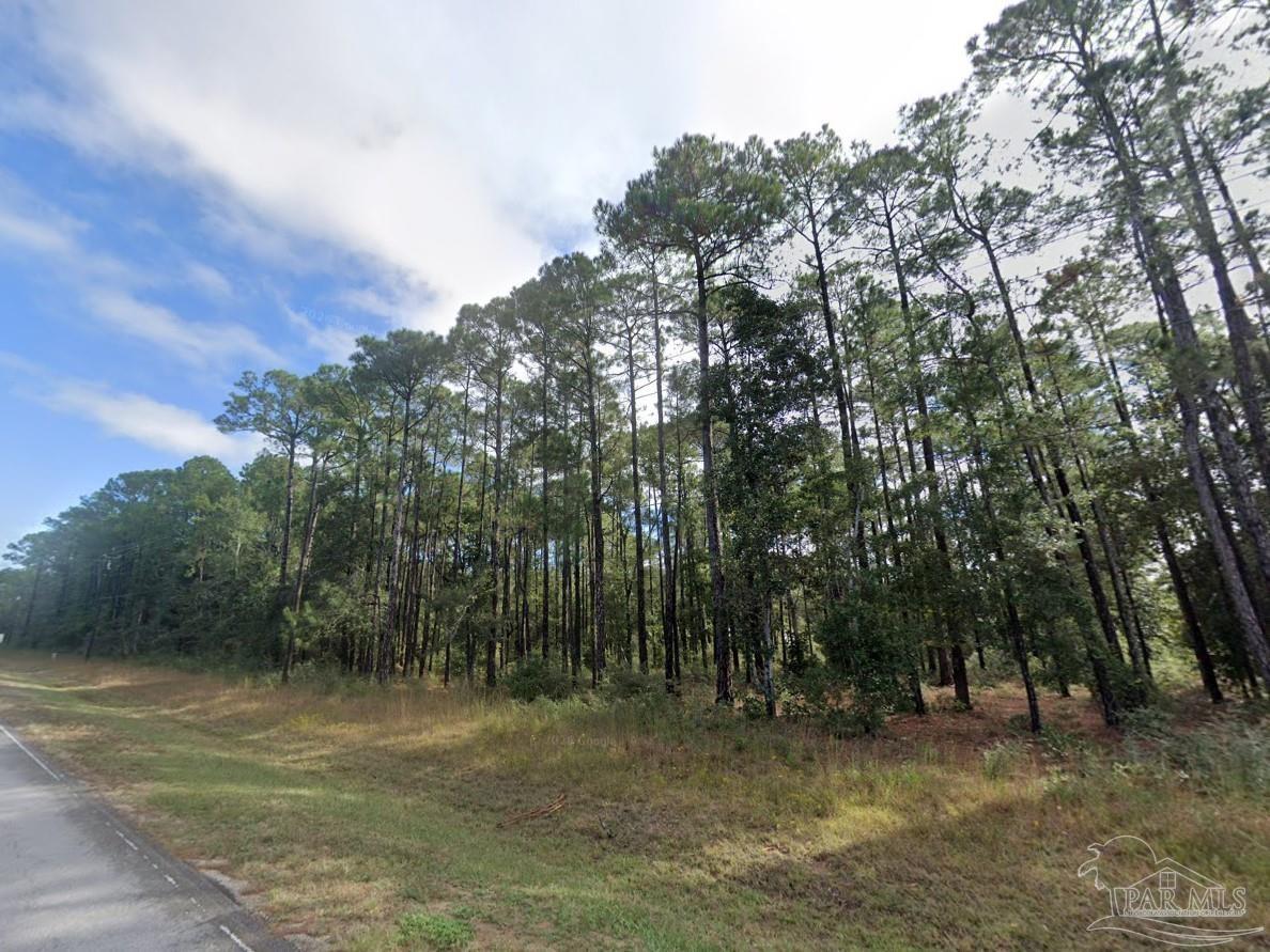 0 Garcon Point Road Milton, FL 32583 - Photo 2 of 14 a view of a forest with trees in the background