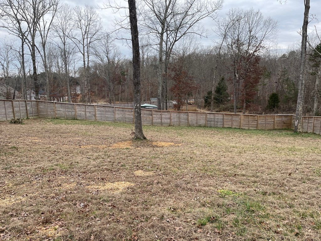 7542 Grasshopper Road Georgetown, TN 37336 - Photo 29 of 31 Gallery Image 29