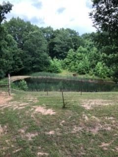 95 McBain Road Altamont, TN 37301 - Photo 23 of 25 Gallery Image 23