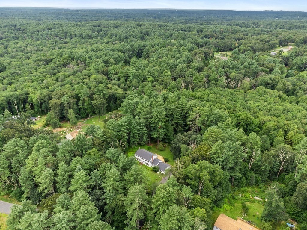 59 Spywood Road Sherborn, MA 01770 - Photo 33 of 40 a view of a forest with a street