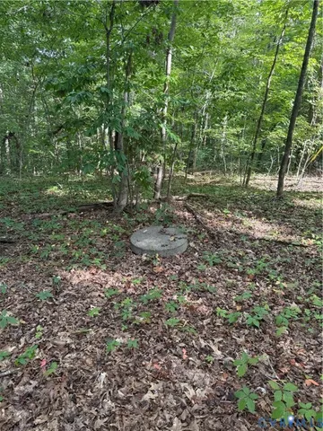 a view of a forest with trees in the background