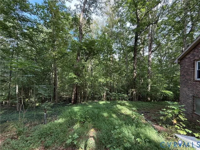 a view of a lush green forest