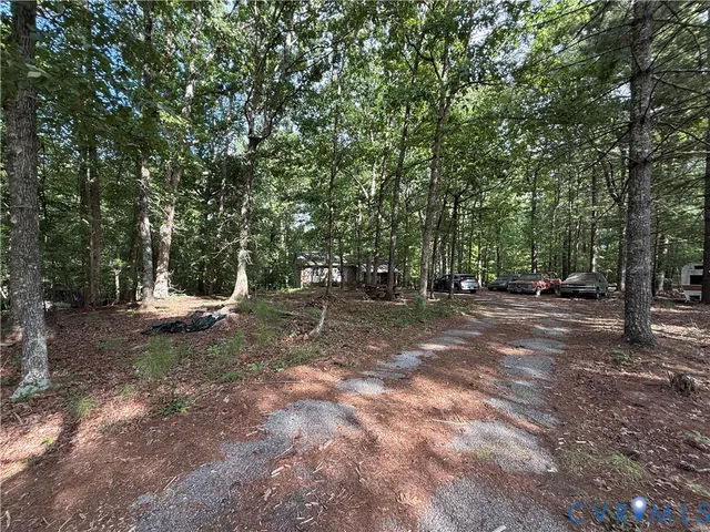 a view of a tree in the middle of a yard