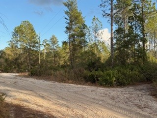 880 Still Road Pierson, FL 32180 - Photo 4 of 7