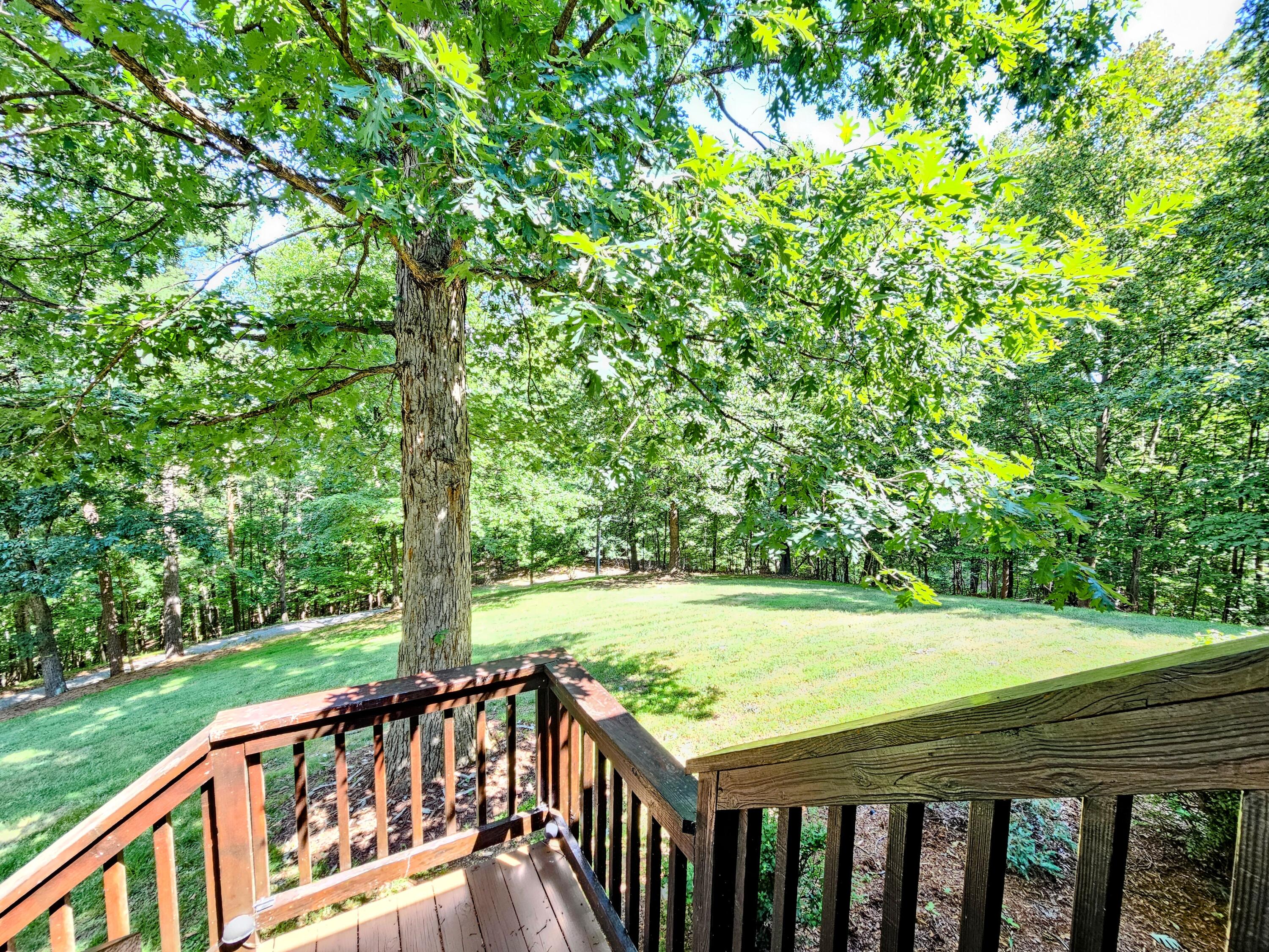 634 Zimmerman Road Blue Ridge, VA 24064 - Photo 49 of 55 20260622_104856