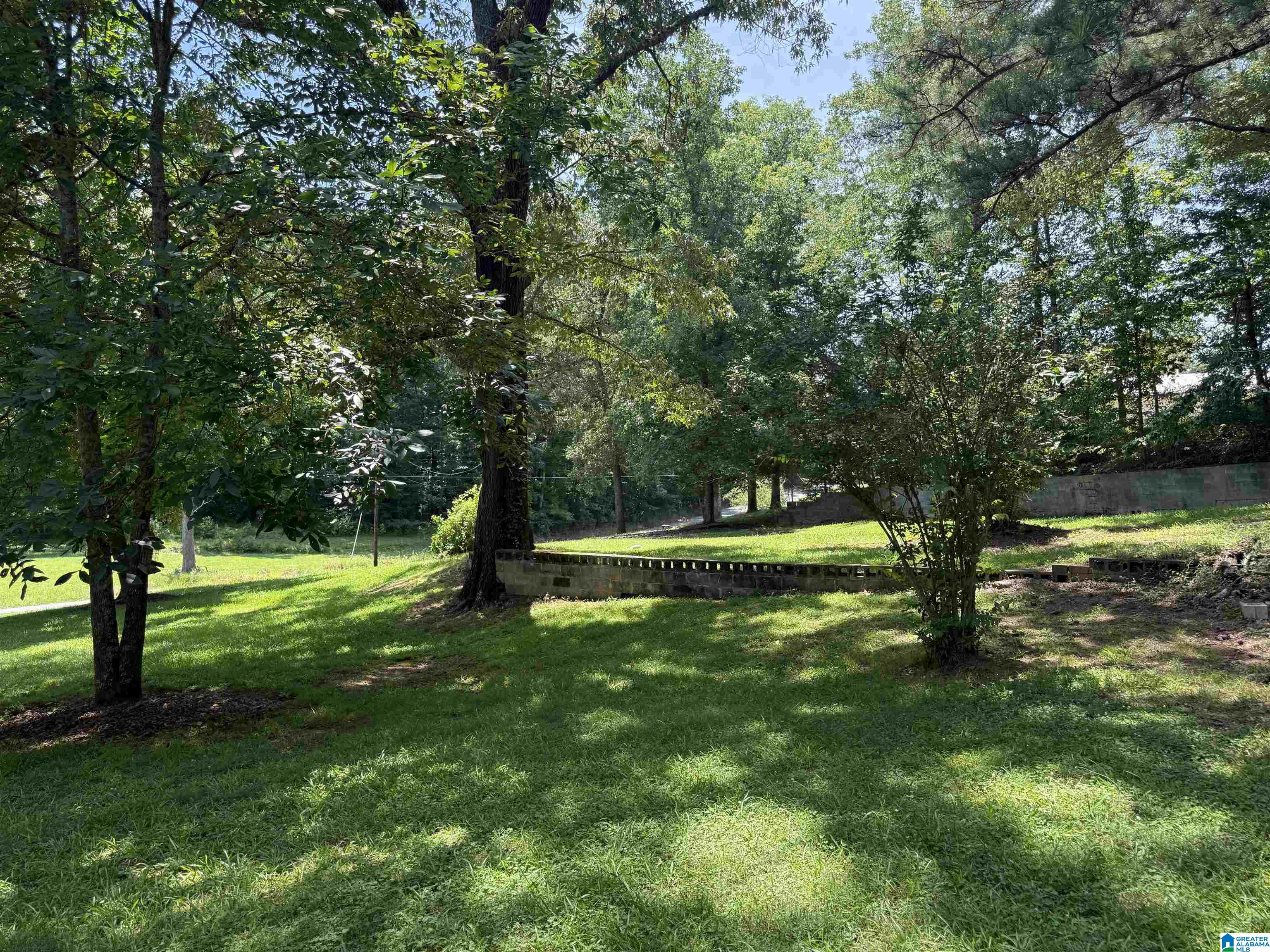 6515 Bethel Road Dora, AL 35062 - Photo 4 of 37