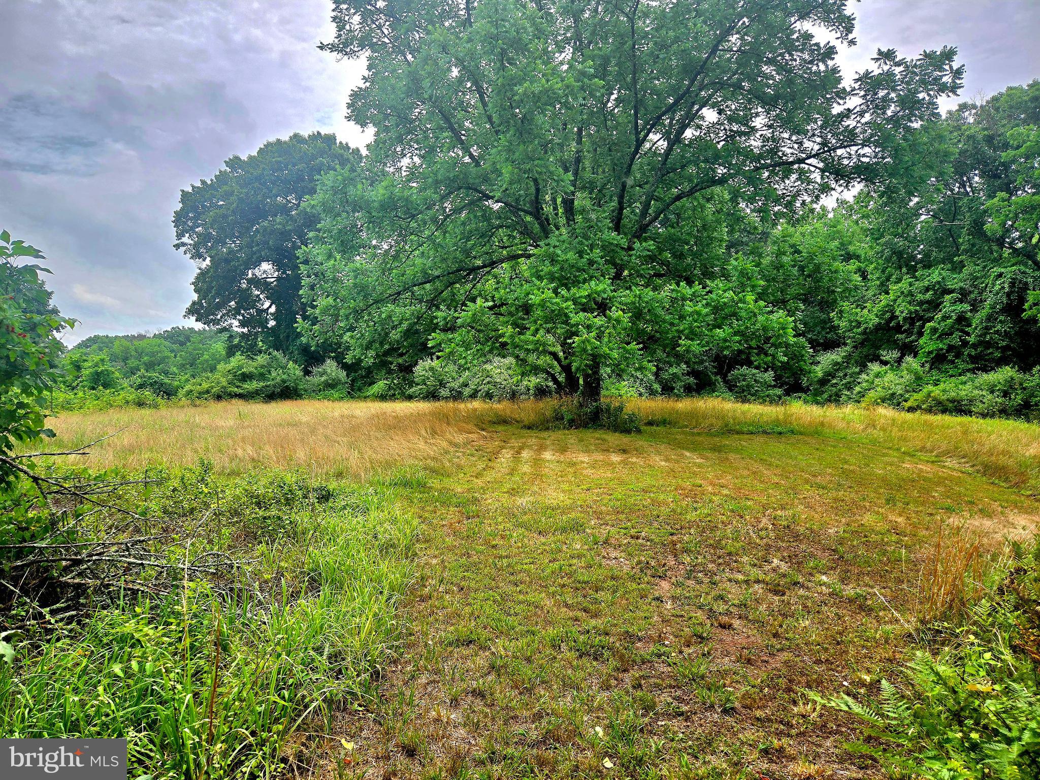 6750 Phillips Mill Road New Hope, PA 18938 - Photo 17 of 26 Rear Meadow