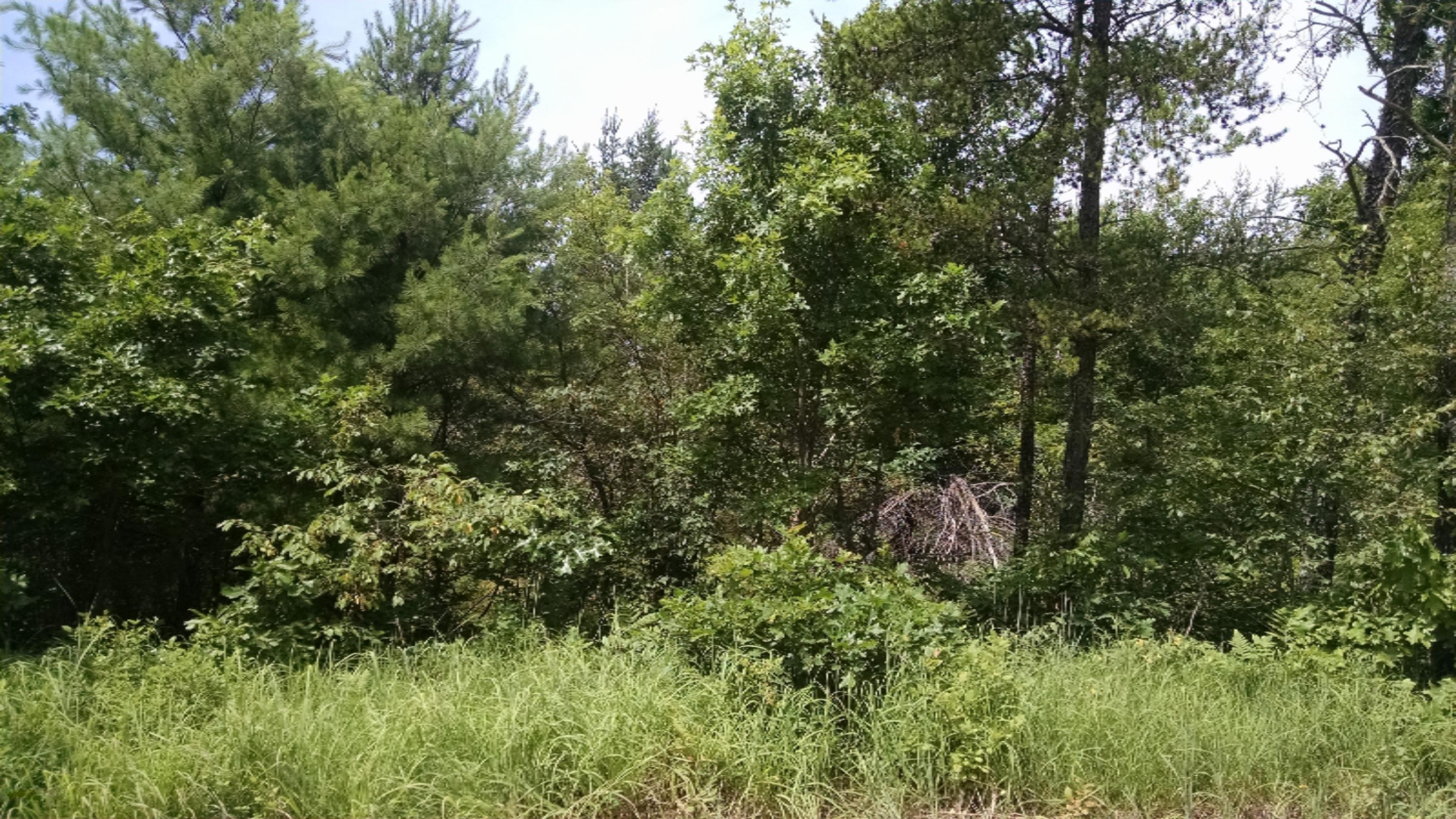 4 East 5 Mile Road Luther, MI 49656 - Photo 1 of 1 034