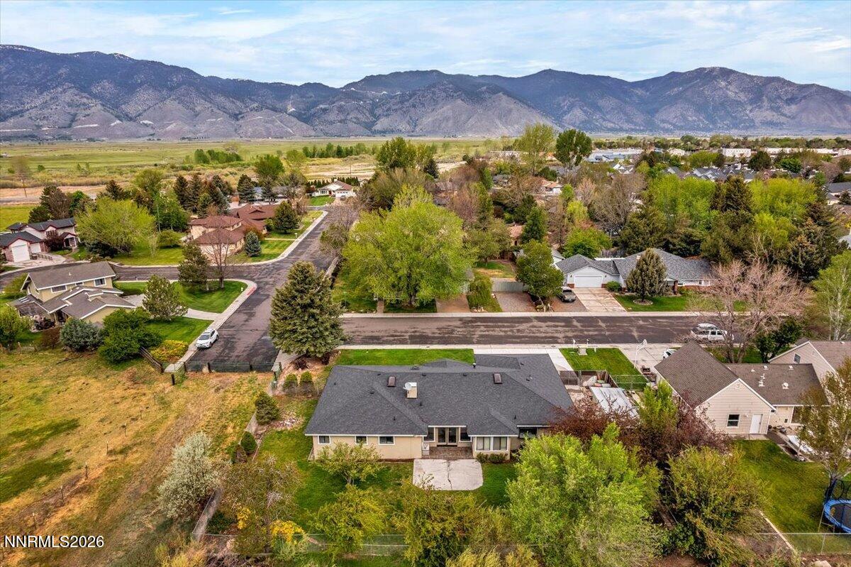 1607 Olua Street Minden, NV 89423 - Photo 75 of 75 01-DJI_0396