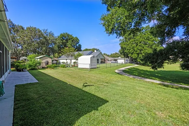 a view of a park with large trees
