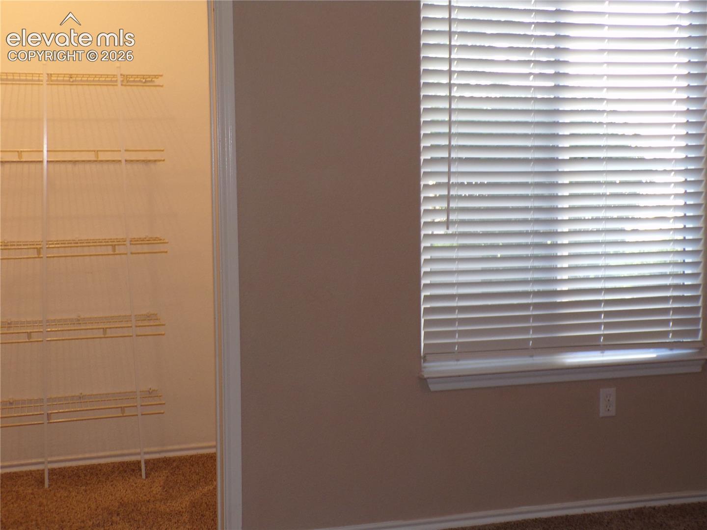 3815 Riviera Grove, Unit 101 Colorado Springs, CO 80922 - Photo 11 of 20 Gallery Image 11