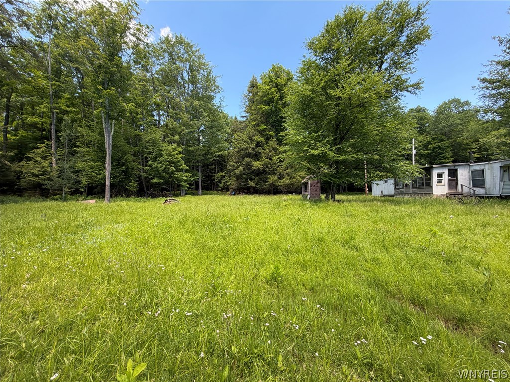 13800 Pritchard Road Concord, NY 14141 - Photo 7 of 8