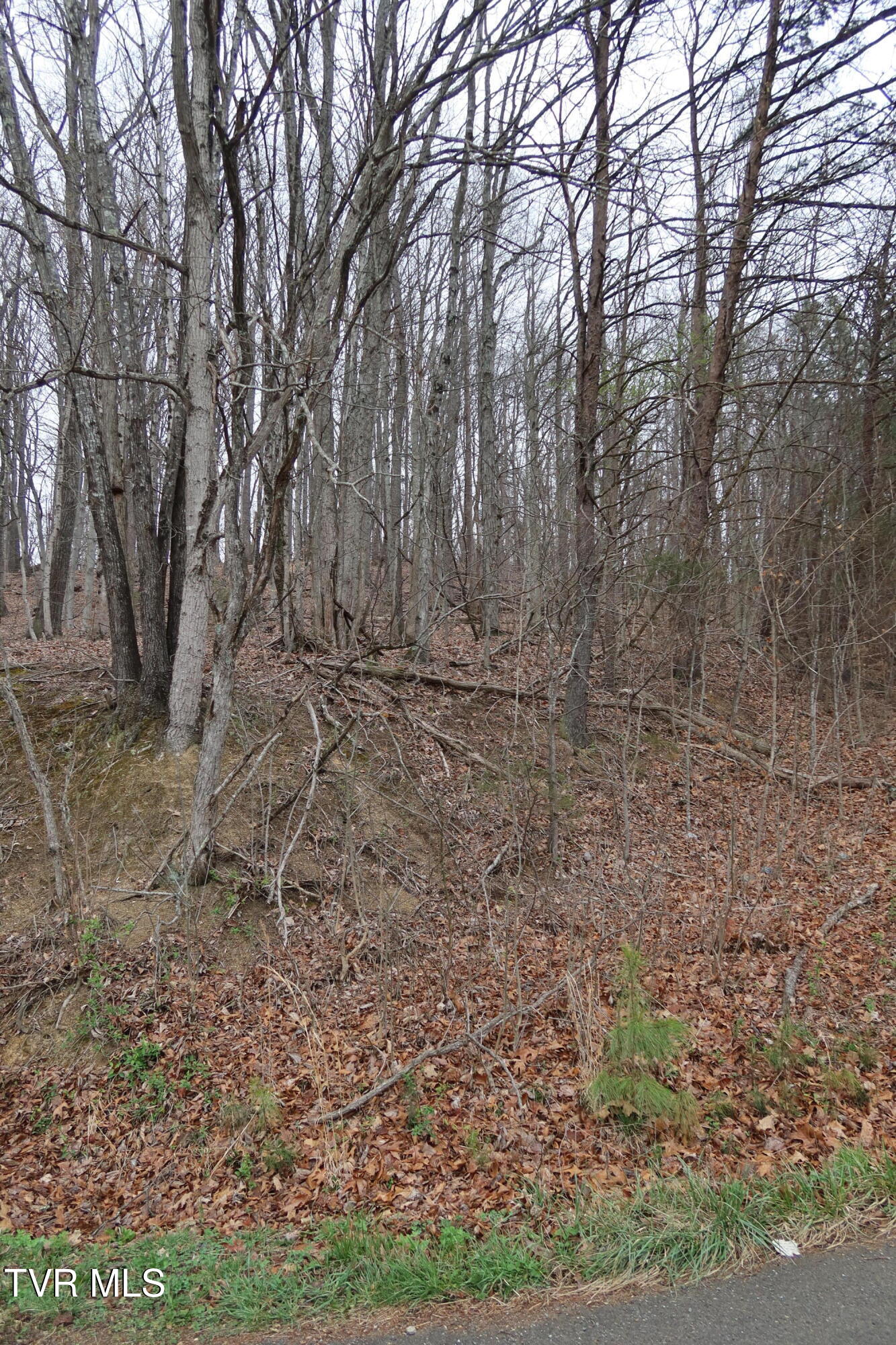 Tbd Possum Hollow Road, Unit 5 Johnson City, TN 37615 - Photo 5 of 8 IMG_8412