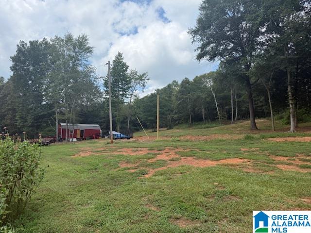 580 Idalia Road Talladega, AL 35160 - Photo 36 of 47