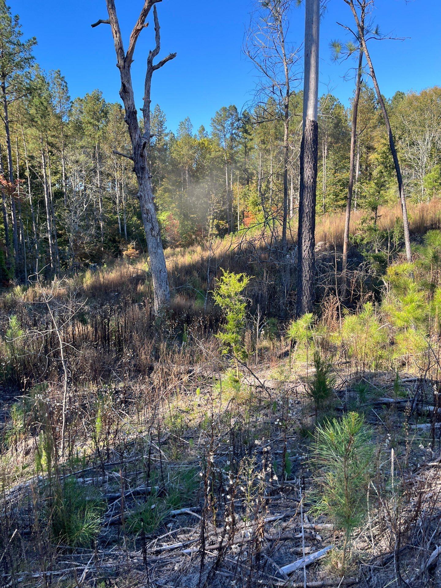 3 Dawkins Road, Unit DRF 3 Pacolet, SC 29372 - Photo 12 of 36