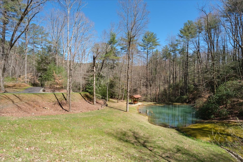 207 Utana Blfs Trail Ellijay, GA 30540 - Photo 87 of 100